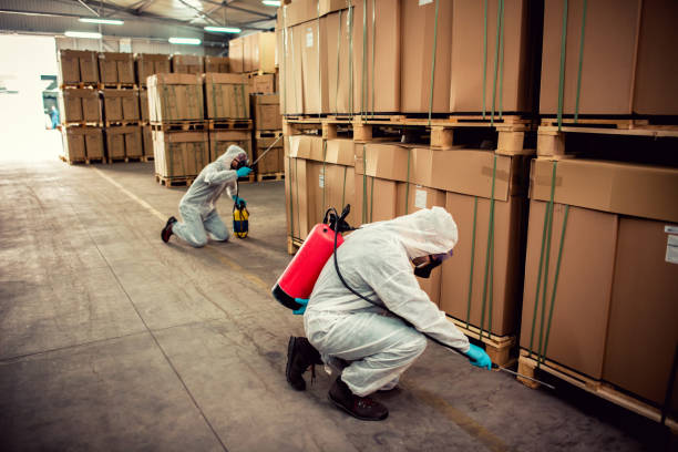 Best Affordable Pest Control Services  in Old Jefferson, LA