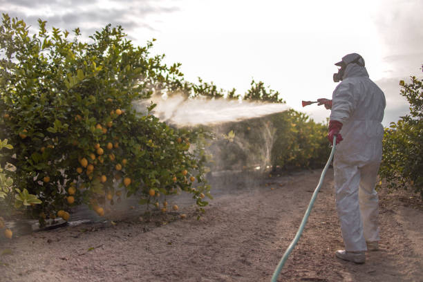 Best Mosquito Control Services  in Old Jefferson, LA