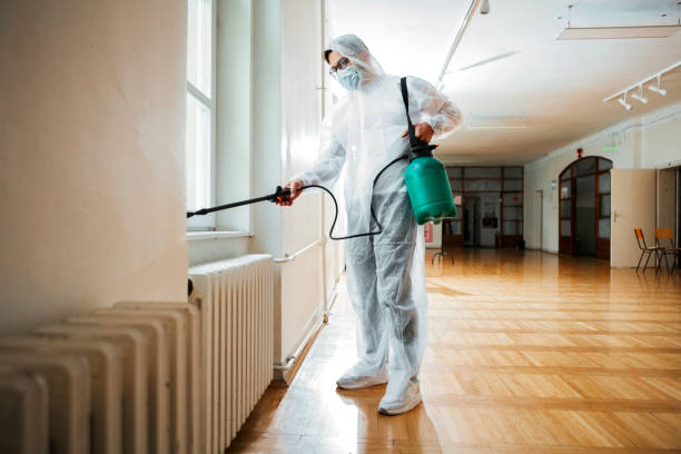 Best Rat Extermination Near Me  in Old Jefferson, LA